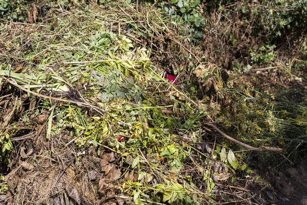 Taze biyo-atık ve kompost Bahçe