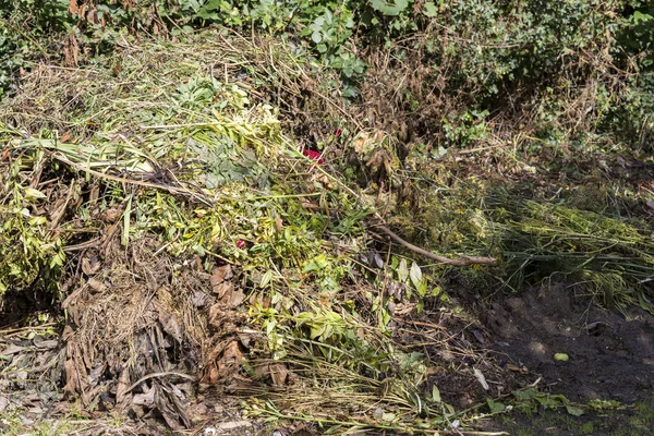 Taze biyo-atık ve kompost Bahçe