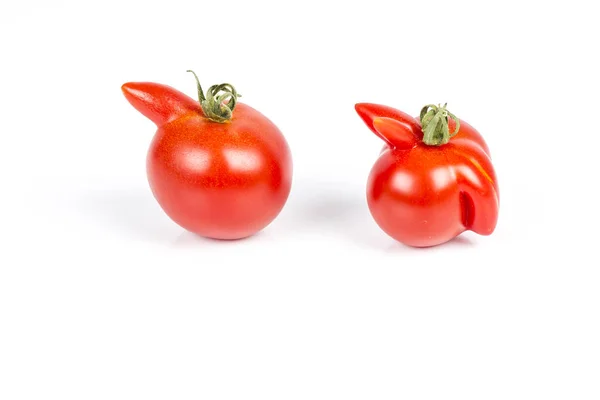 Tomates rouges déformées sur fond blanc — Photo