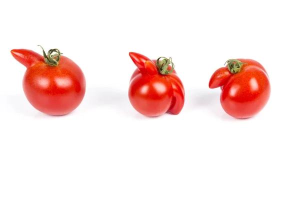 Zdeformowane czerwone pomidory na białym tle — Zdjęcie stockowe