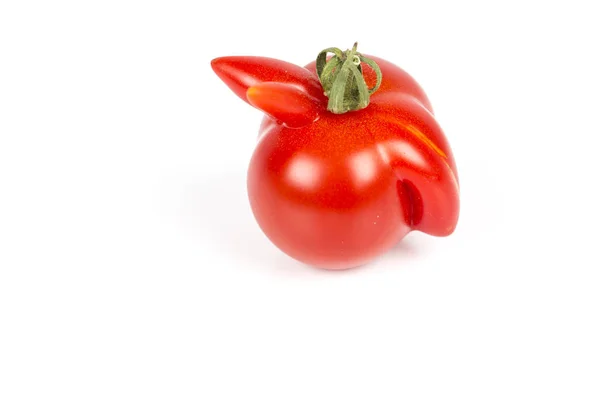 Tomate rouge déformée sur fond blanc — Photo