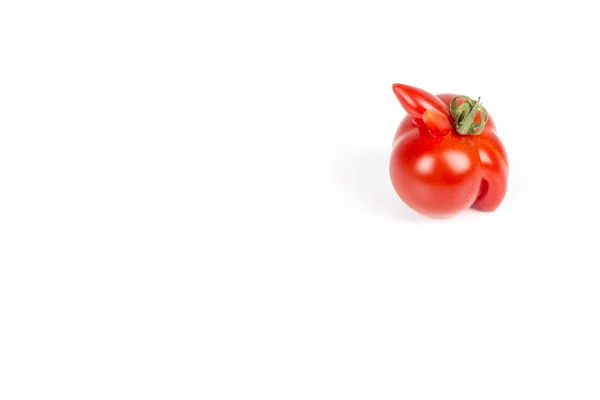 Деформированный красный помидор на белом фоне — стоковое фото