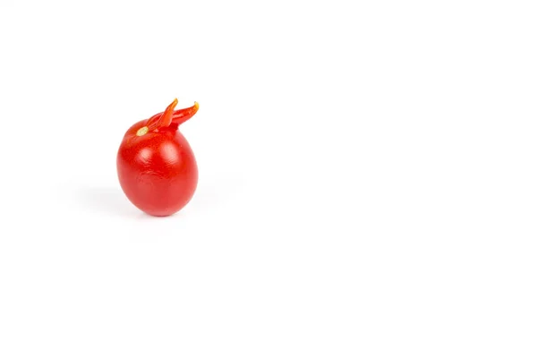 Tomate rouge déformée sur fond blanc — Photo