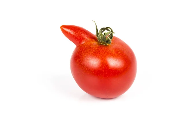 Zdeformowane czerwony pomidor na białym tle — Zdjęcie stockowe