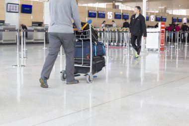 Havaalanı Bagaj Trolley bavul ile Havaalanı, istasyonu, Fransa yürüyen kimliği belirsiz kadın