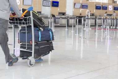 Havaalanı Bagaj Trolley bavul ile Havaalanı, istasyonu, Fransa yürüyen kimliği belirsiz kadın