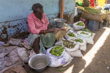 Belgesel yayın görüntü. Kimliği belirsiz bir Hint Tamil Nadu küçük kırsal köy pazarında meyve ve sebze onun dükkanında.