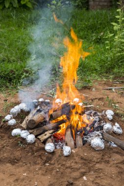 Ahşap bir mangal Bahçede yanan