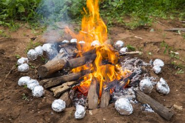 Ahşap bir mangal Bahçede yanan
