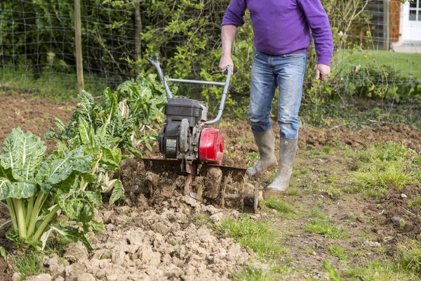 Agricultor senior jardinero que trabaja en el jardín con rototiller, tractor timón, cutivator, máquina de hirviendo —  Fotos de Stock