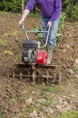 üst düzey çiftçi bahçıvan Bahçe Rototil, yeke traktör, cutivator, miiling makine ile çalışma