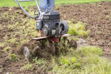 üst düzey çiftçi bahçıvan Bahçe Rototil, yeke traktör, cutivator, miiling makine ile çalışma