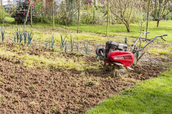 Senior-Landwirt Gärtner arbeitet im Garten mit Fräse, Pinne Traktor, Kübelmaschine, Fräsmaschine — Stockfoto