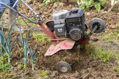 üst düzey çiftçi bahçıvan Bahçe Rototil, yeke traktör, cutivator, miiling makine ile çalışma