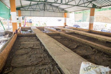 Kompost toprak, plantation için organik atık çöp ile yapılan organik bitki gübre