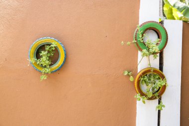 Olağandışı çiçek Bahçe yatakta. Eski araba lastikleri çiçek yataktan. flowerbed tasarım. Bahar, yaz, Bahçe. makine lastikleri kullanımı. İkinci hayat şeyler. Atık yönetimi
