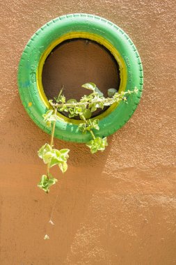 Olağandışı çiçek Bahçe yatakta. Eski araba lastikleri çiçek yataktan. flowerbed tasarım. Bahar, yaz, Bahçe. makine lastikleri kullanımı. İkinci hayat şeyler. Atık yönetimi