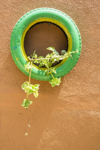 Ungewöhnliches Blumenbeet im Garten. ein Blumenbeet aus alten Autoreifen. Blumenbeet-Design. Frühling, Sommer, Garten. Verwendung von Maschinenreifen. zweites Leben der Dinge. Abfallwirtschaft — Stockfoto