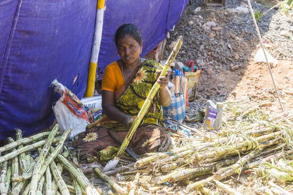 Dokumentární film redakční. Puduchery, Pondichery, Tamil Nadu, Indie - březen cca, 2018. Žena řezání, příprava cukrové třtiny před extrakcí — Stock fotografie