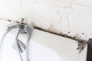 İğrenç home duş banyo döşeme dolgu macunu ile kalıp ve küf. Banyo işleri