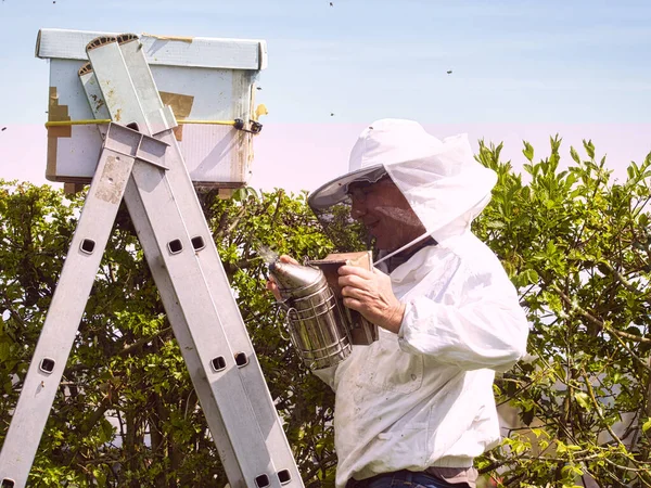 Porträt eines Imkers in Schutzkleidung, der Raucher im Bienenstand auf der Waage hält — Stockfoto