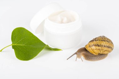 Cosmetics made with snail slime. Very healthy and organic products clipart