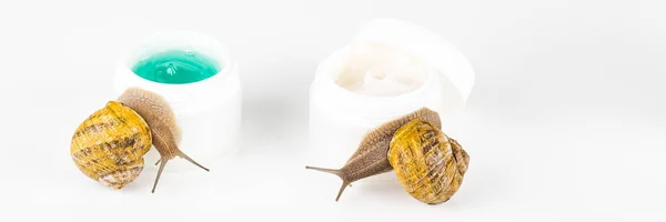 Cosméticos hechos con baba de caracol. Productos muy saludables y ecológicos —  Fotos de Stock