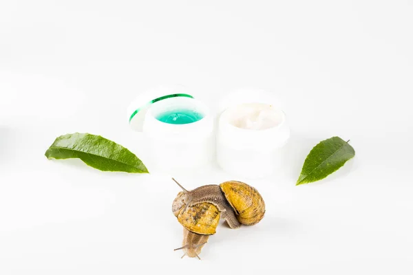 Cosmetics made with snail slime. Very healthy and organic products — Stock Photo, Image