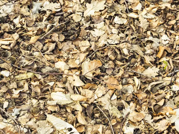 Sonbaharda arkaplan olarak uygun soyut sonbahar yaprakları