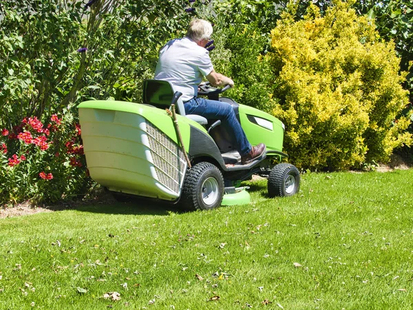 Senior man 75 old years driving a tractor lawn mower in garden with flowers. Green and white ride on mower, turning in field between colorful flowers