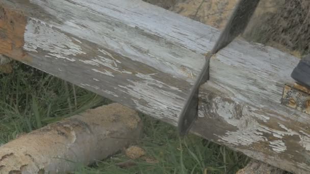 Mann hackt mit Kettensäge Holz für ein zukünftiges Zuhause. viel Sägemehl und Holzstapel im Hintergrund, Zeitraffer, 4k — Stockvideo