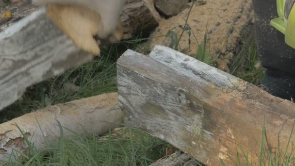 Man chopping wood with a chainsaw for a future home. A lot of sawdust and wood pile in background, time lapse, 4K — Stock Video