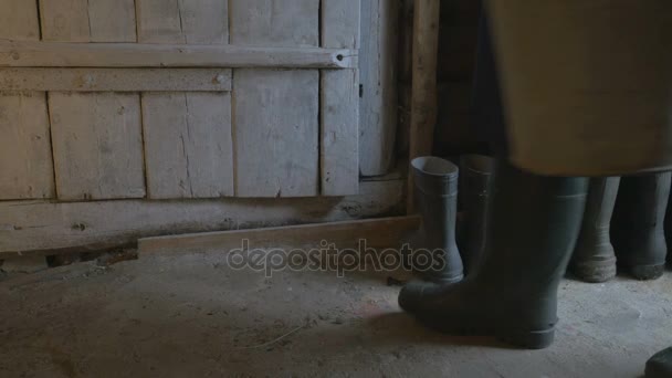 Un hombre con botas de goma viene con una cesta de cosecha y entra en el granero, 4K — Vídeos de Stock