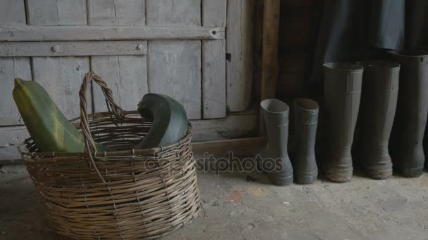 Um homem de botas de borracha entra com uma cesta de colheita e entra no celeiro, 4K — Vídeo de Stock