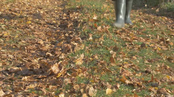 Un uomo, passeggiando lungo la strada nel villaggio in autunno giorno. Concentrazione superficiale . — Video Stock