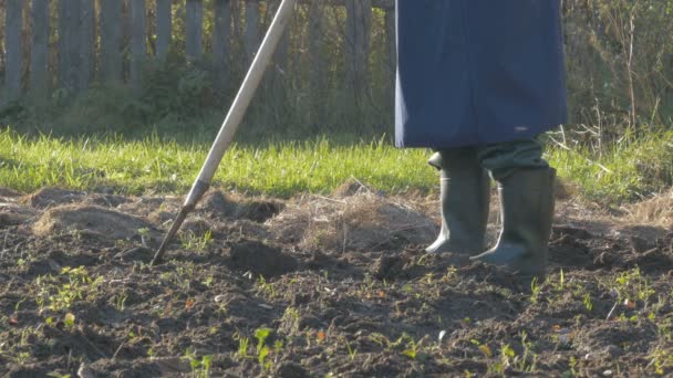 Lopatu strčil do země v popředí a muž kopat půdy v rozmazané pozadí — Stock video