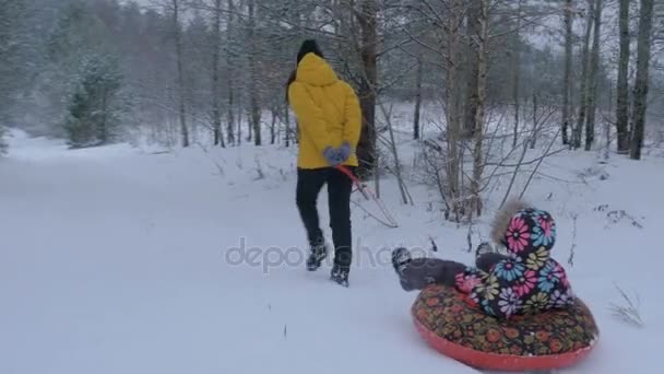 Frau zieht Schlitten mit Kind im Winterpark. Schwebestativ, 4k — Stockvideo