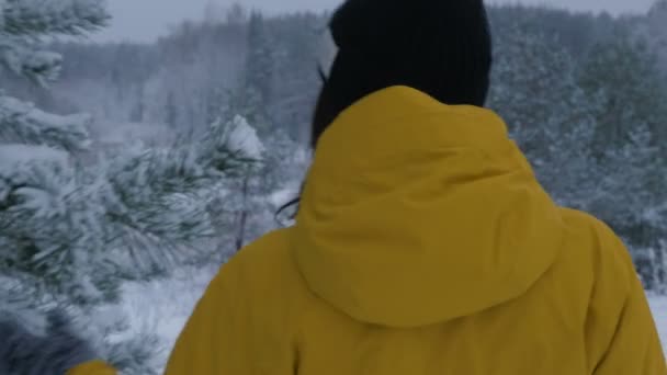 Дівчина трясе сніг з засніженими гілками ялини взимку — стокове відео