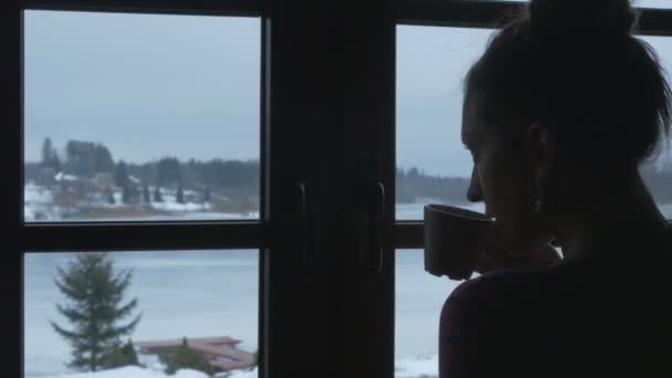 Snön utanför fönstret och varmt te. Ung kvinna med kopp varm dryck, står vid fönstret. Bakom ett fönster en snöstorm — Stockvideo