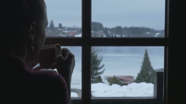 Schnee vor dem Fenster und heißer Tee. junge Frau mit einem Becher Heißgetränk, die am Fenster steht. hinter einem Fenster ein Schneesturm — Stockvideo