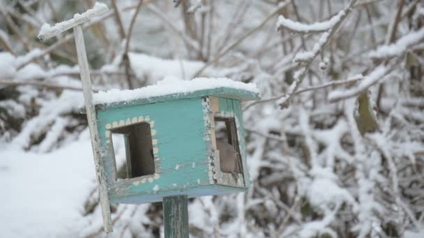Ένα πουλί feeder και pecks σιτηρών, αργή κίνηση, νιφάδες χιονιού πέφτουν πάνω στο birdhouse. Σίτιση των πτηνών στον τροφοδότη χειμερινή σεζόν στο δέντρο το χειμώνα — Αρχείο Βίντεο