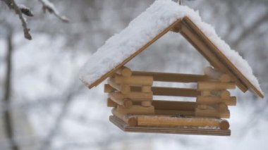 Kuşlar kadar besleyici sinek ve tohumlar, kuş yuvası için kar taneleri düşüyor ağaçlarda kar al