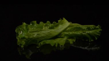 Siyah arka plan üzerine marul yaprakları