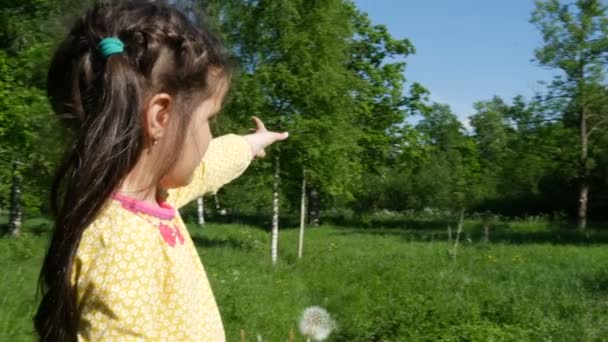 A child plays in the Park with dandelions — Stock Video