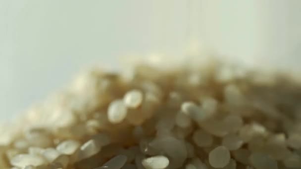 Los granos de comida se vierten en platos, macrofotografía — Vídeos de Stock