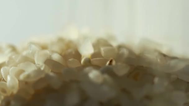 Los granos de comida se vierten en platos, macrofotografía — Vídeos de Stock