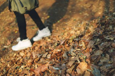 düşen sonbahar yaprakları 