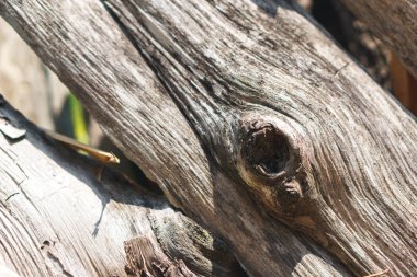 Eski yıpranmış günlük duvar