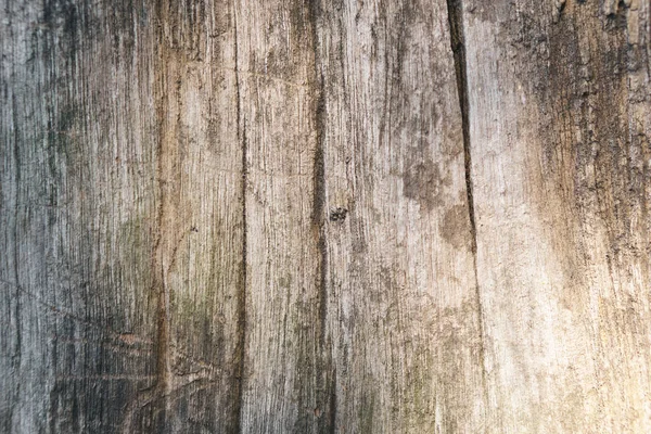 Antigua pared de troncos erosionados — Foto de Stock