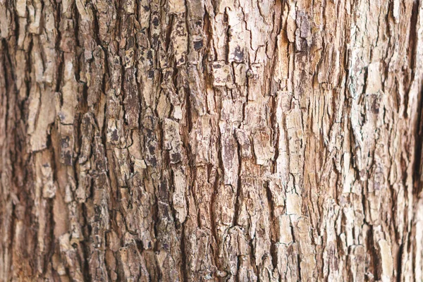 Vecchio muro di tronchi intemperie — Foto Stock